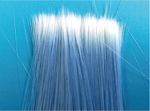 Two-Layered PBT PET Nylon Synthetic Tapered Brush Filament