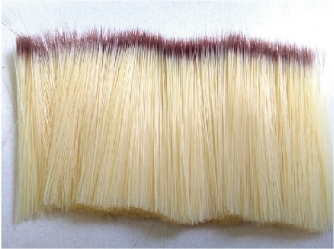 Two-layered Dyed Tips Nylon PBT PET Tapered Hair