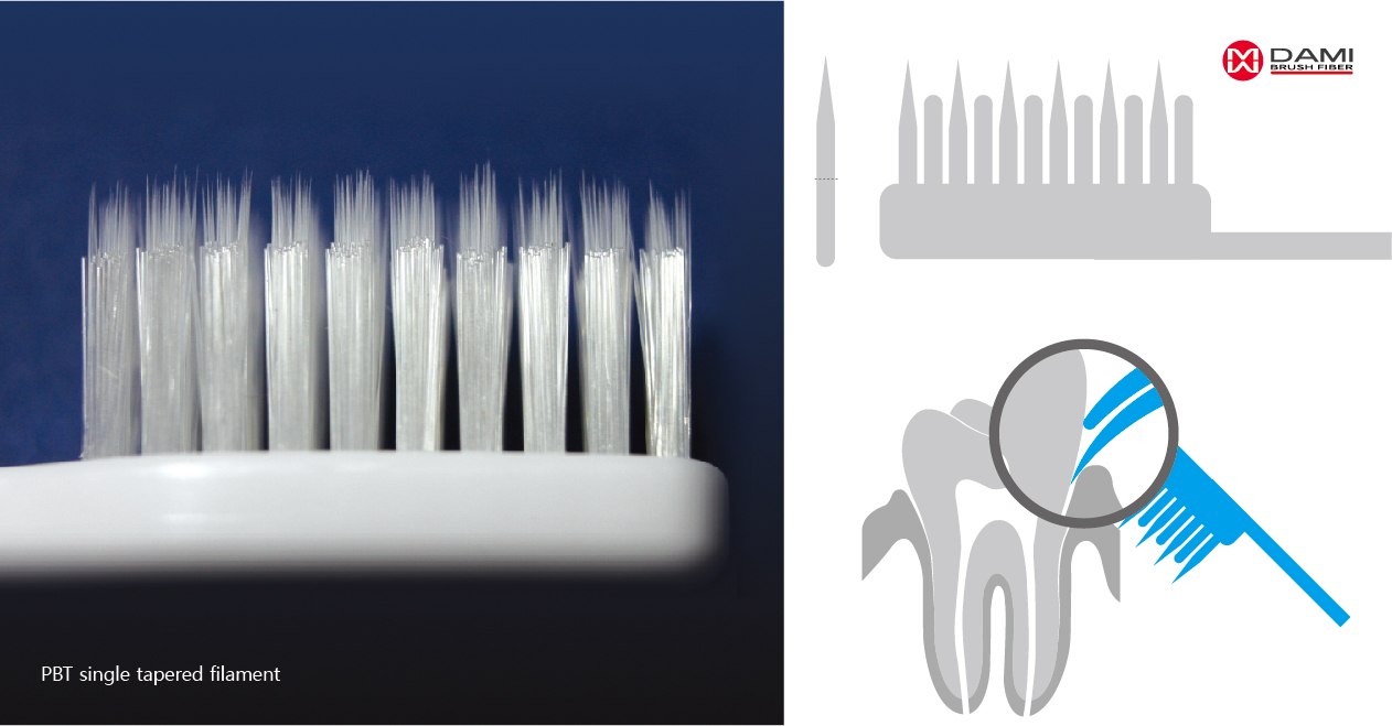 PBT One-End Single Tapered Toothbrush Bristle Filament插图1